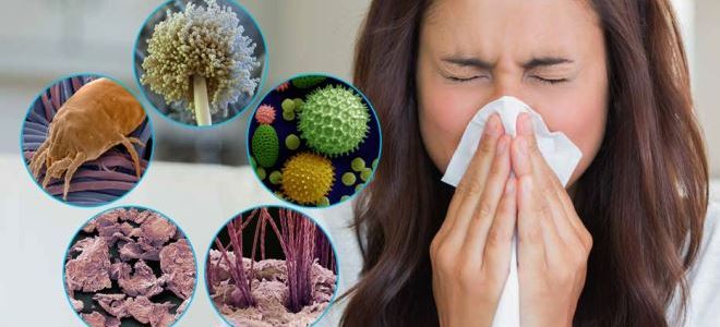Аллергия на пыль: как проявляется?