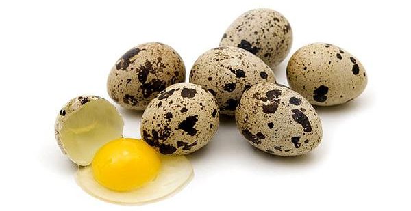 Польза и вред перепелиных яиц для мужчин