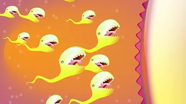 Сколько живут сперматозоиды в различных условиях