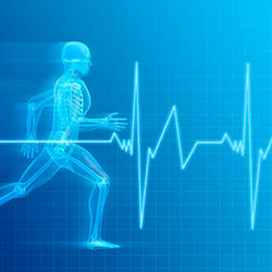Как сохранить здоровье при спортивных тренировках?